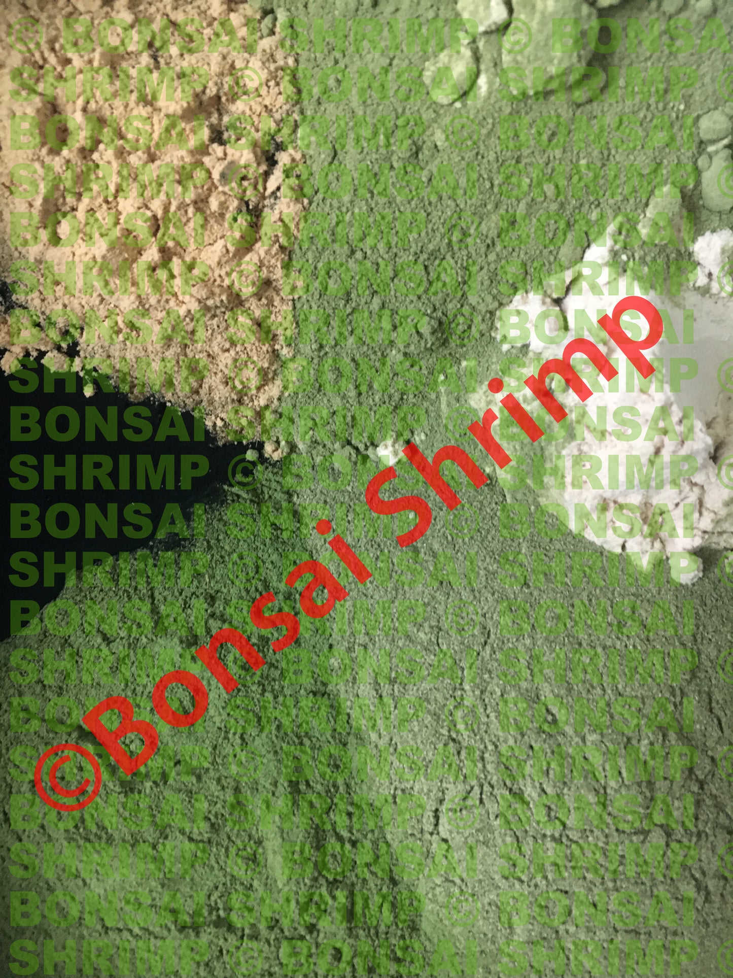 Shrimp Food - Green Powder Baby Food / Fan Shrimp Food 10g